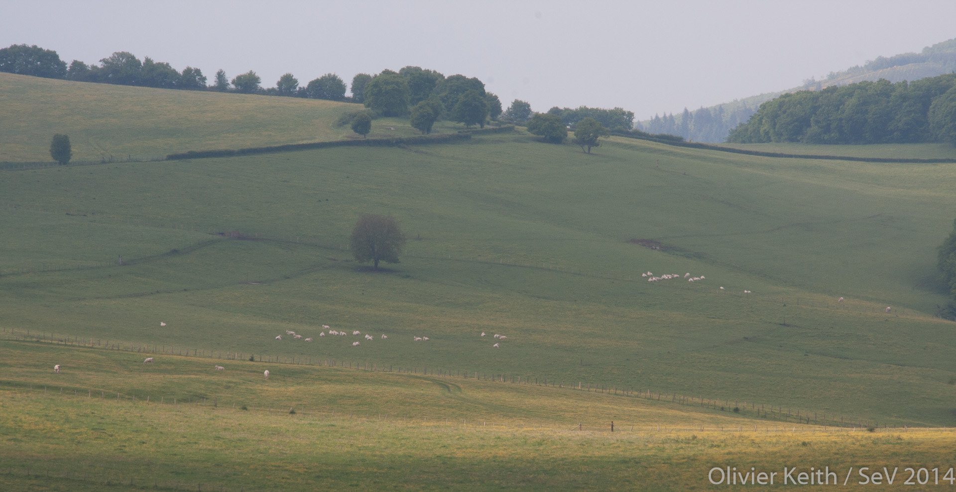 Collines bourgignonnes Région de Tournus en Bourgogne